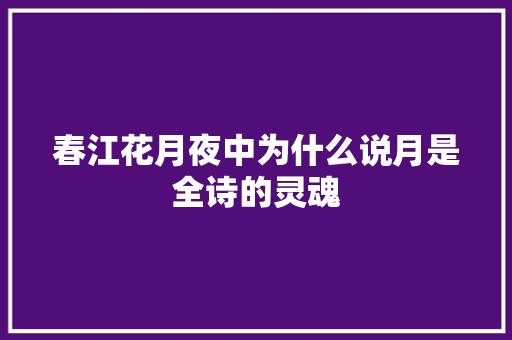 春江花月夜中为什么说月是全诗的灵魂 范文赏析