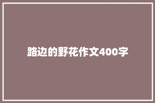 路边的野花作文400字