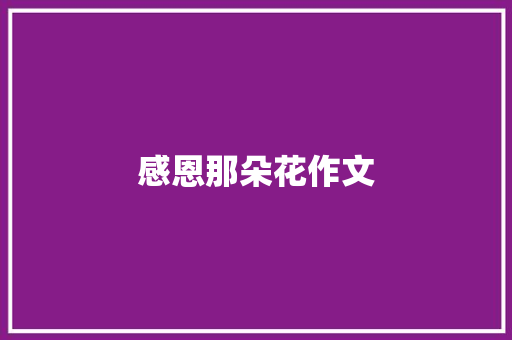 感恩那朵花作文
