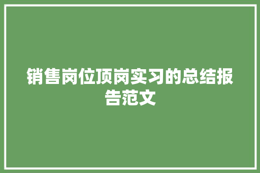 销售岗位顶岗实习的总结报告范文 词汇积累