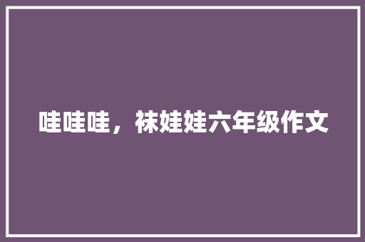 哇哇哇，袜娃娃六年级作文