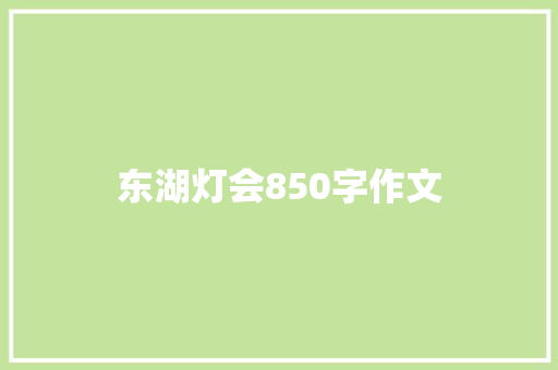 东湖灯会850字作文