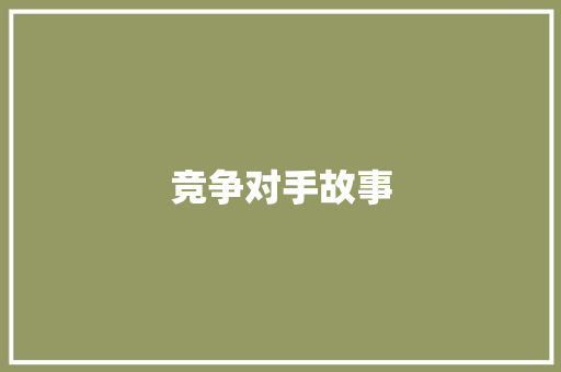 竞争对手故事