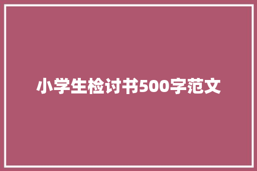 小学生检讨书500字范文
