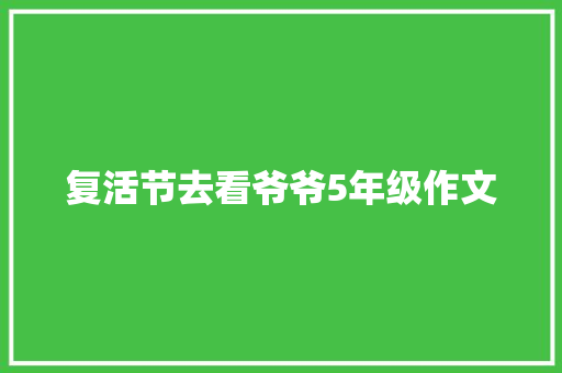 复活节去看爷爷5年级作文 词汇积累