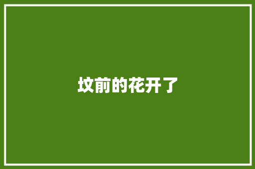 坟前的花开了