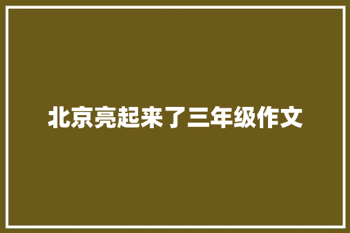 北京亮起来了三年级作文