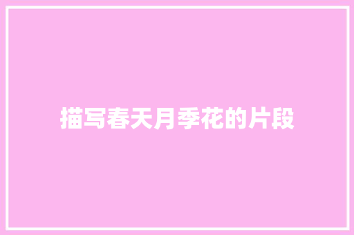 描写春天月季花的片段 写作素材