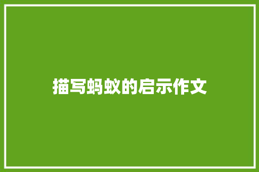 描写蚂蚁的启示作文 词汇积累