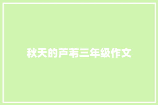 秋天的芦苇三年级作文