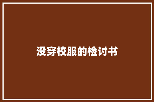 没穿校服的检讨书