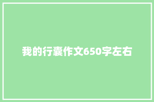 我的行囊作文650字左右