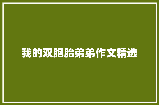 我的双胞胎弟弟作文精选 报告写作
