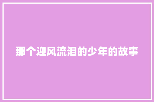 那个迎风流泪的少年的故事