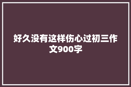 好久没有这样伤心过初三作文900字 词汇积累