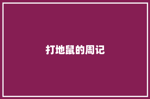 打地鼠的周记 词汇积累