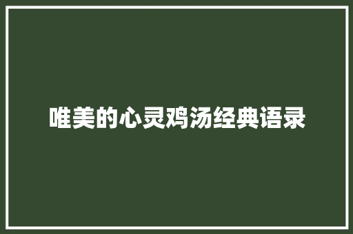 唯美的心灵鸡汤经典语录