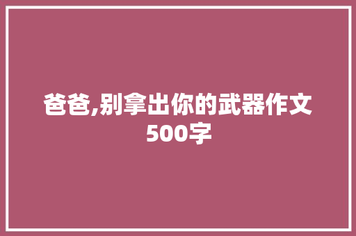 爸爸,别拿出你的武器作文500字