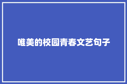 唯美的校园青春文艺句子 范文赏析