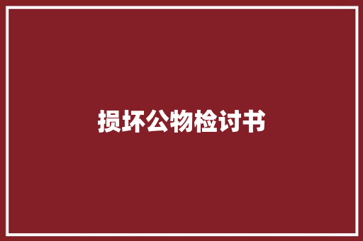 损坏公物检讨书