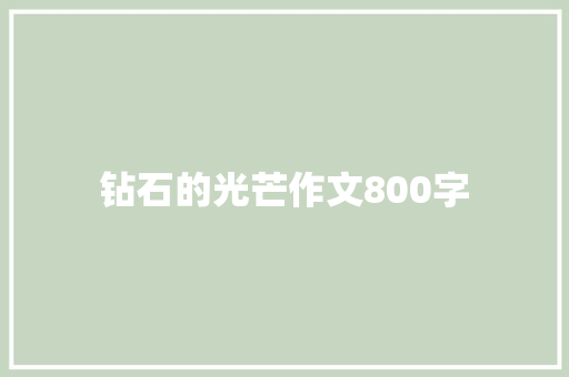 钻石的光芒作文800字 范文赏析