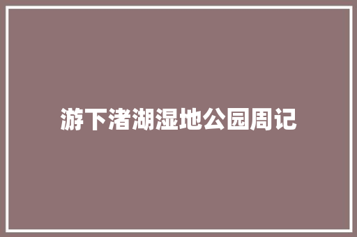 游下渚湖湿地公园周记 写作社区