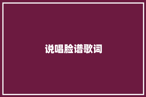 说唱脸谱歌词 报告写作