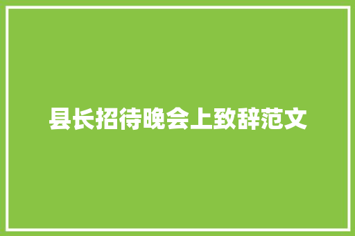 县长招待晚会上致辞范文 词汇积累