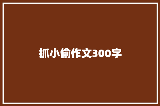 抓小偷作文300字