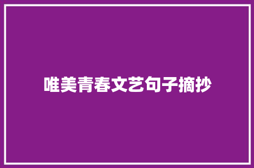 唯美青春文艺句子摘抄 报告写作