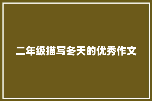 二年级描写冬天的优秀作文