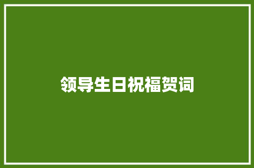 领导生日祝福贺词 词汇积累