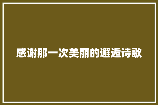 感谢那一次美丽的邂逅诗歌