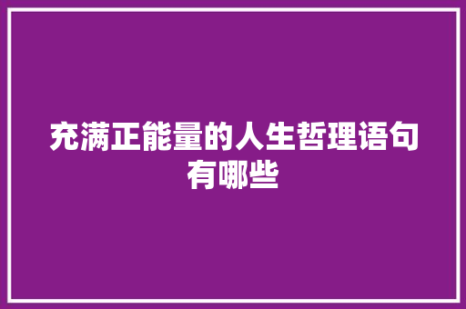 充满正能量的人生哲理语句有哪些 报告写作
