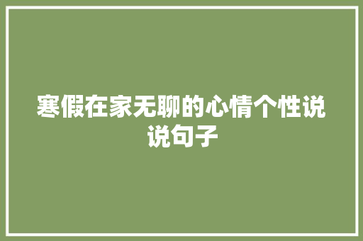 寒假在家无聊的心情个性说说句子