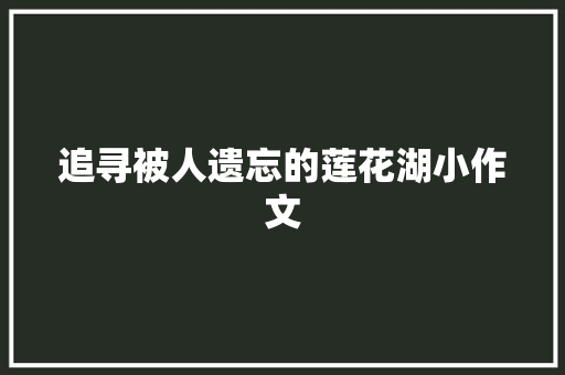 追寻被人遗忘的莲花湖小作文 词汇积累