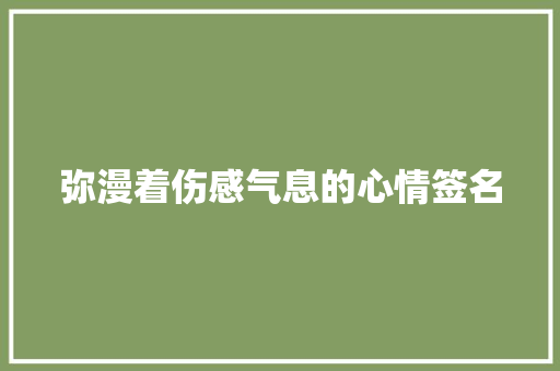 弥漫着伤感气息的心情签名 诗歌创作