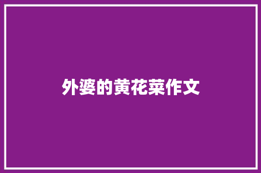 外婆的黄花菜作文