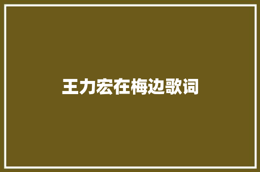王力宏在梅边歌词 诗歌创作