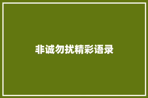 非诚勿扰精彩语录