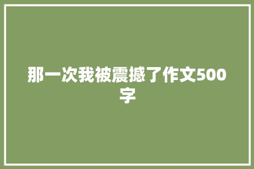那一次我被震撼了作文500字 报告写作