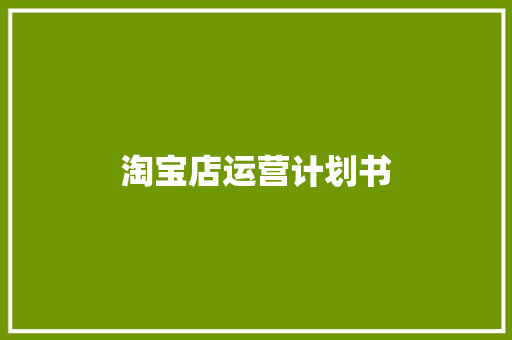 淘宝店运营计划书 写作技巧