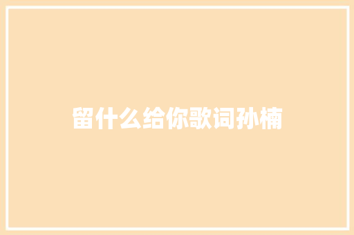 留什么给你歌词孙楠