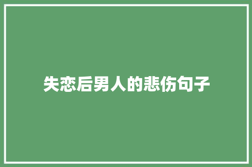 失恋后男人的悲伤句子 简历模板