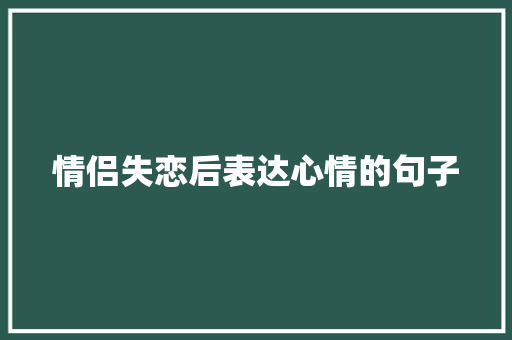 情侣失恋后表达心情的句子 报告写作