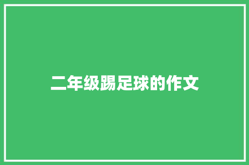 二年级踢足球的作文 报告写作