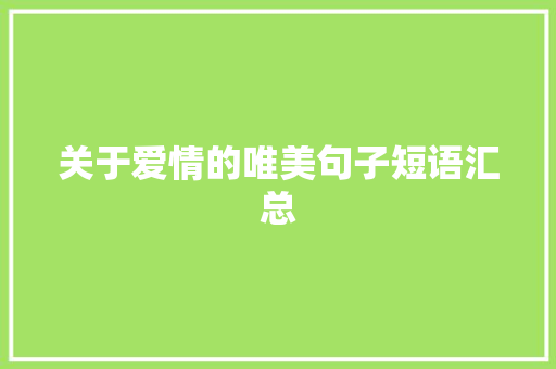 关于爱情的唯美句子短语汇总 写作素材