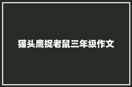 猫头鹰捉老鼠三年级作文 写作社区