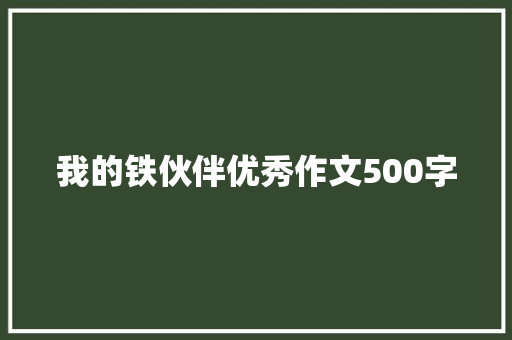 我的铁伙伴优秀作文500字 简历模板